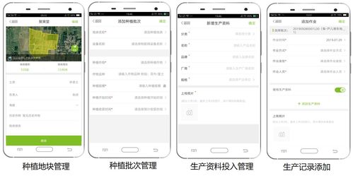 大田智慧農業 1.28億元數字化服務引領農產品安全生產新紀元